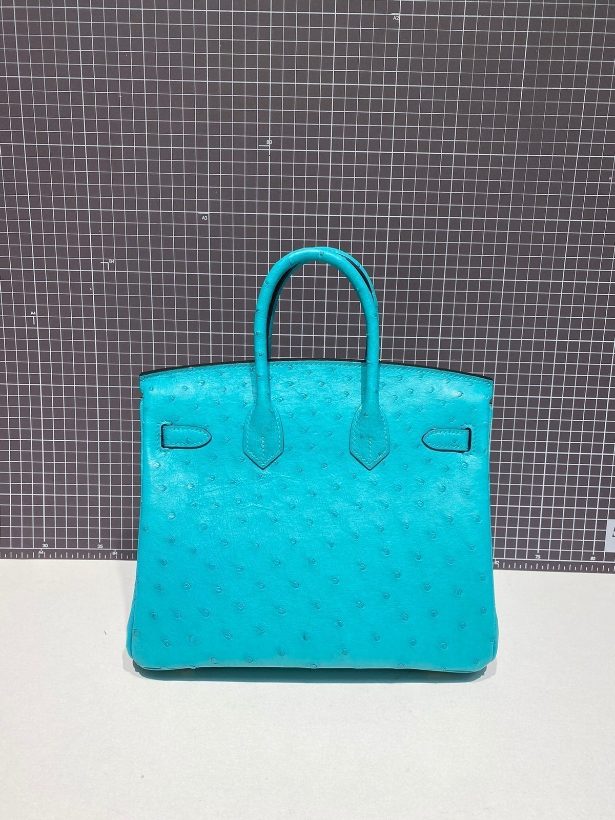 HERMES BIRKIN 30CM CLOUD BLUE OSTRICH LEATHER GOLD HARDWARE